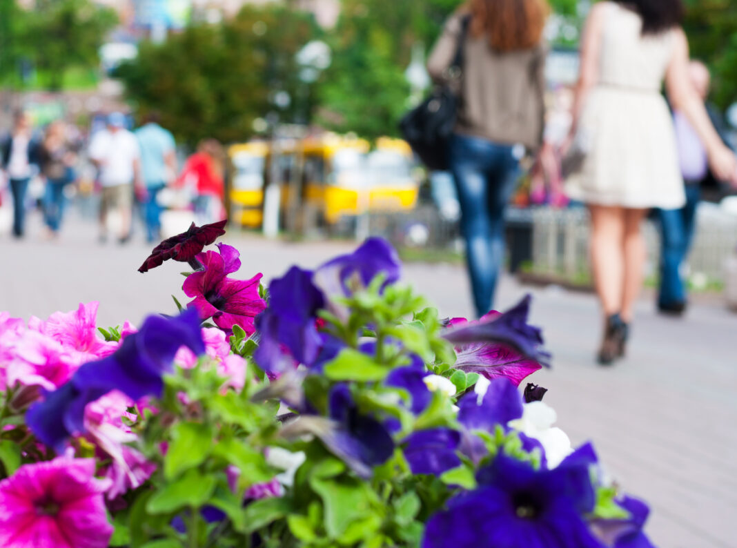 Sondaj G4Media: Pot femeile din România să aibă un echilibru între activitatea profesională și viața de familie?