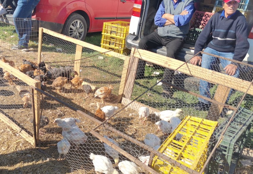 Târgul de la Osica, sub asediul controalelor: localnicii explodează după ce primăria a interzis animalele în târgul cu o tradiție de 85 de ani