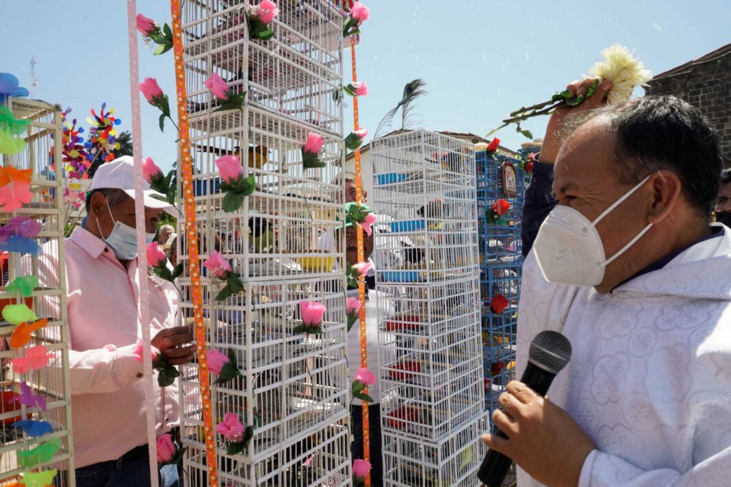 „Turnuri de păsări” purtate pe străzile Mexicului. Oamenii se tem că tradiția lor dispare (VIDEO)