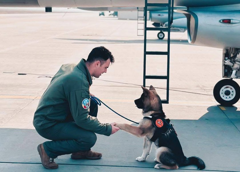 Un căpitan al Forțelor Aeriene Române a murit după ce a sărit într-un bazin pentru a salva un câine