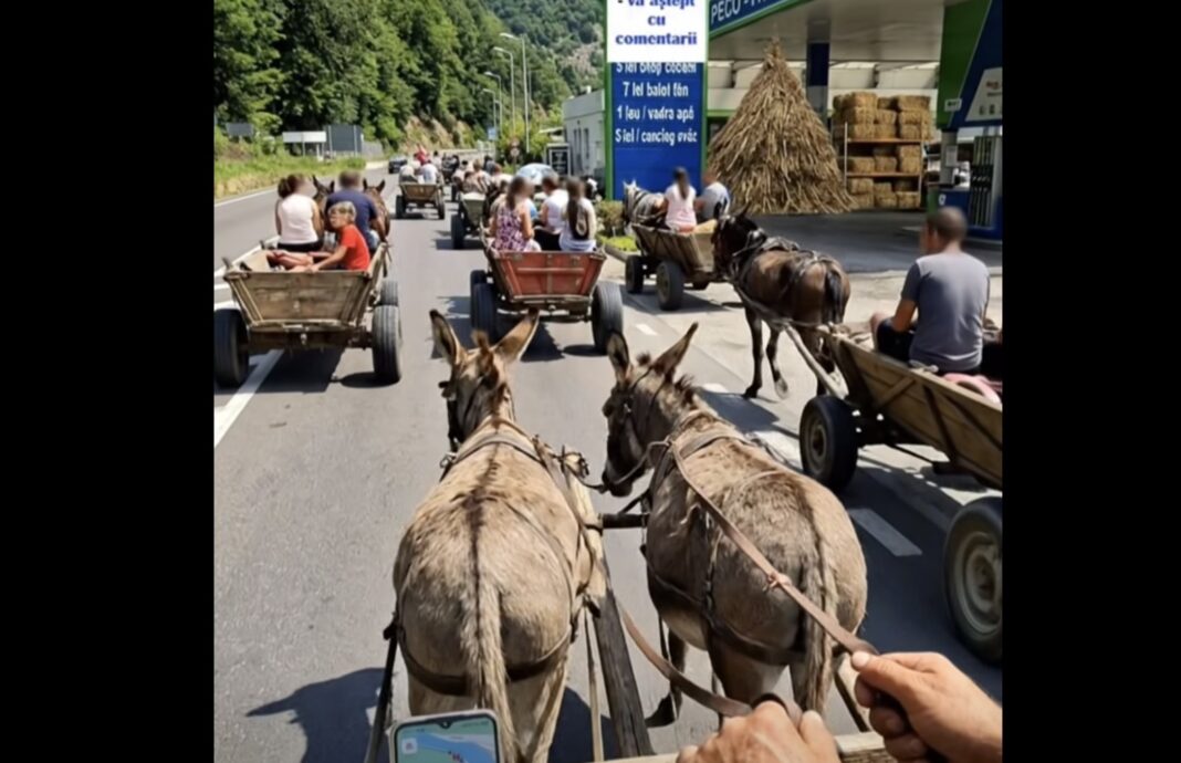 VIDEO Clip realizat cu AI despre viitorul transportului pe Valea Oltului: căruțe trase de măgari / Stațiile de alimentare vând fân și apă, nu benzină și motorină / Cât va mai crește prețul motorinei