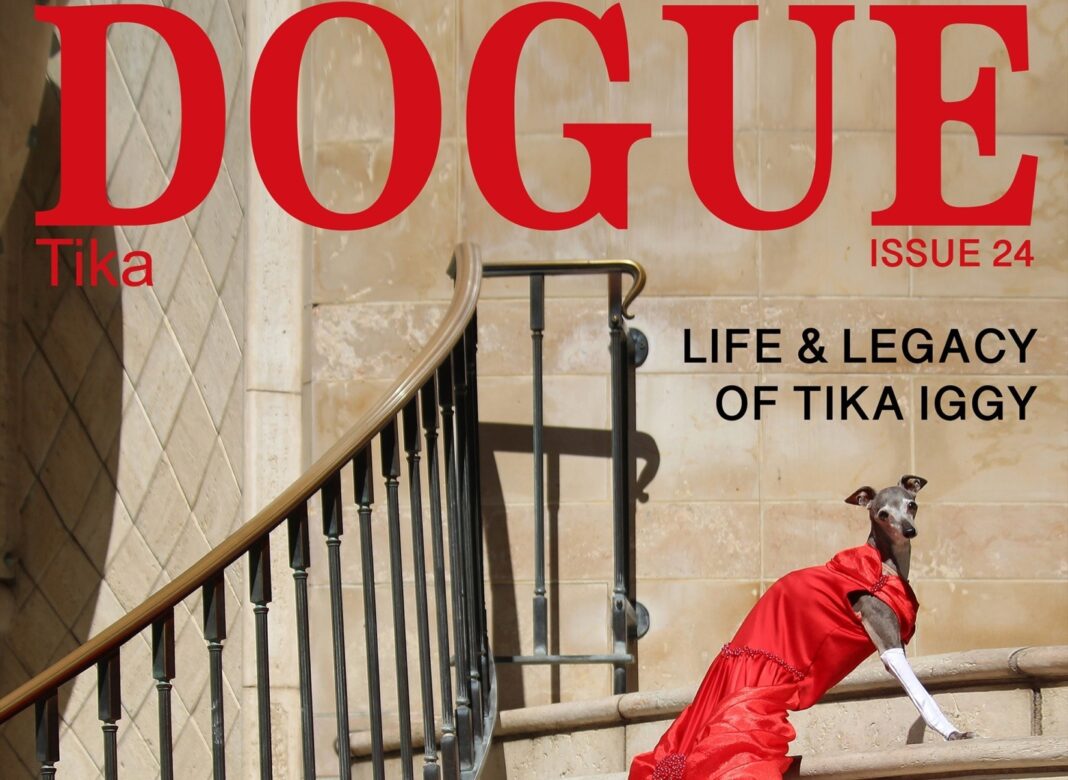 Vogue dă în judecată Dogue, revista dedicată iubitorilor de câini: Acuzații de furt de identitate și confuzie pentru cititori