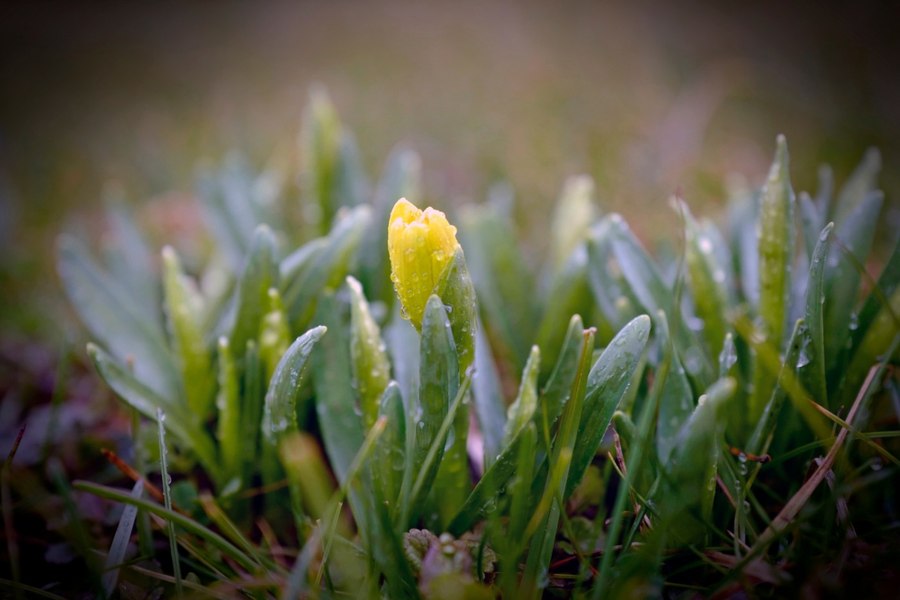 Vremea se schimbă radical în România: un val de aer polar va pătrunde în țară