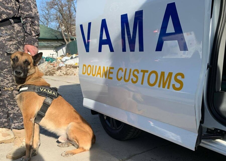 Alertă la granițe: Controale ale Vămii Române pentru combaterea fraudei cu alimente perisabile din import / Echipele mobile ale Vămii au fost mobilizate în puncte de tranzit și în zonele de frontieră