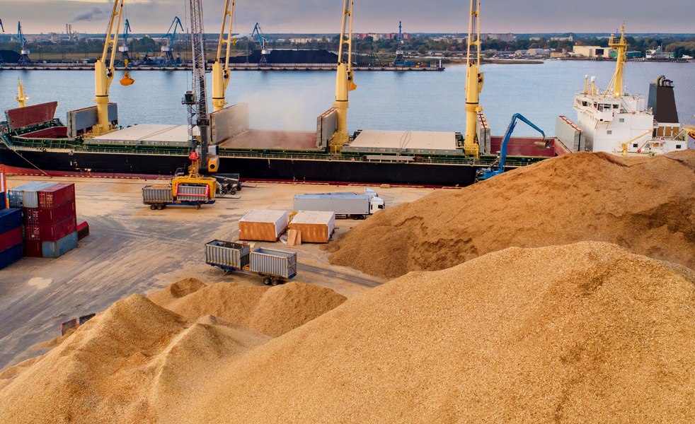 Ambasadorul Israelului la Kiev, convocat de Ministerul de Externe al Ucrainei după sosirea în portul Haifa a unor nave cu cereale „furate de Rusia”