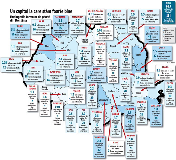 Analiza de luni. Harta avicolă a României: cinci judeţe adună o treime din efectivele de păsări în doar 20% din cele 830 de ferme la nivel naţional. Care sunt campionii care ţin în spate producţia de carne de pasăre şi ouă?