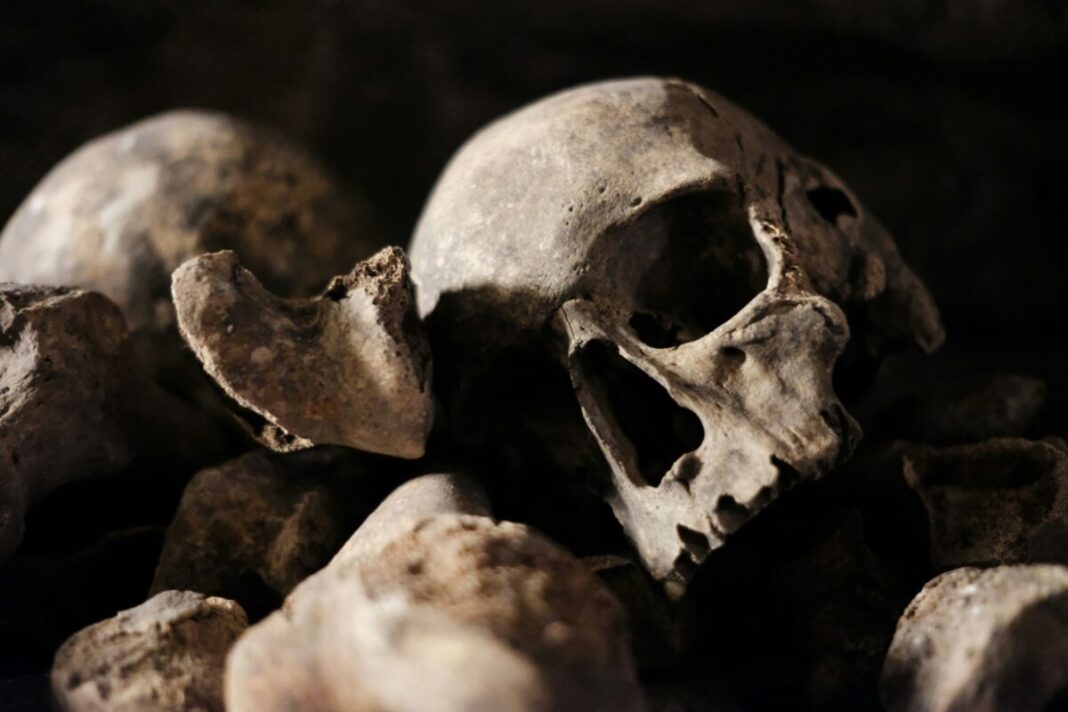 Au fost redeschise Catacombele Parisului / Situl este în continuare fragil: în coridoarele umede, cu umiditate de 90%, microorganismele se depun pe oase şi le atacă