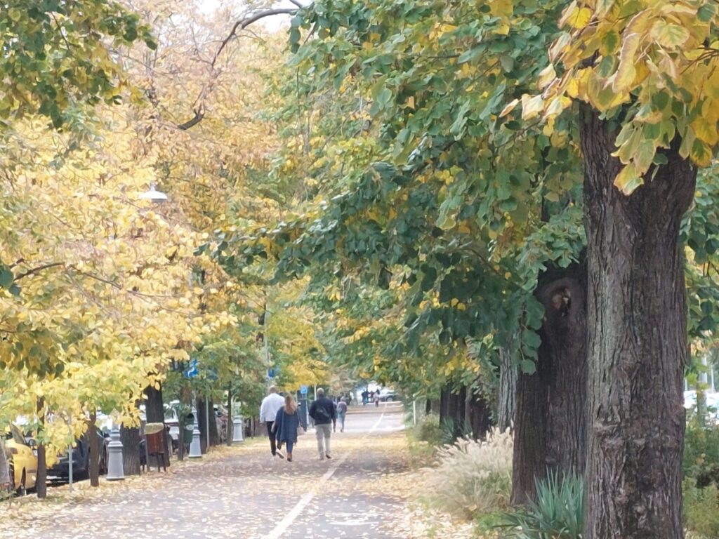 Campanie Declic, după ce noul parc din Sectorul 4 va fi numit Donald J. Trump: Noul parc trebuie să reflecte identitatea comunității! Susținem denumirea „Maria Cuțarida-Crătunescu”