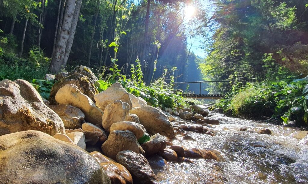 Canionul 7 Scări din Brașov va fi deschis pe 1 Mai / ”Vă recomandăm să aveţi la dumneavoastră o hăinuţă un pic mai groasă”