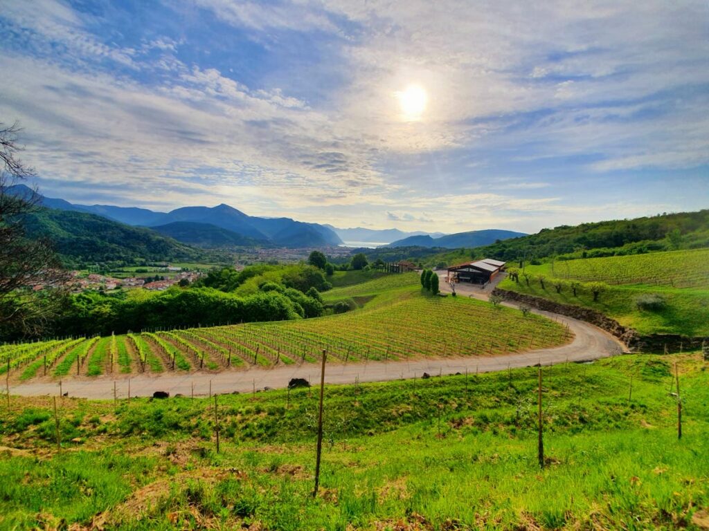 Case la un euro, spații gratuite pentru deschiderea de afaceri și subvenții pentru fiecare copil născut / Satele din Italia se reinventează pentru a nu dispărea