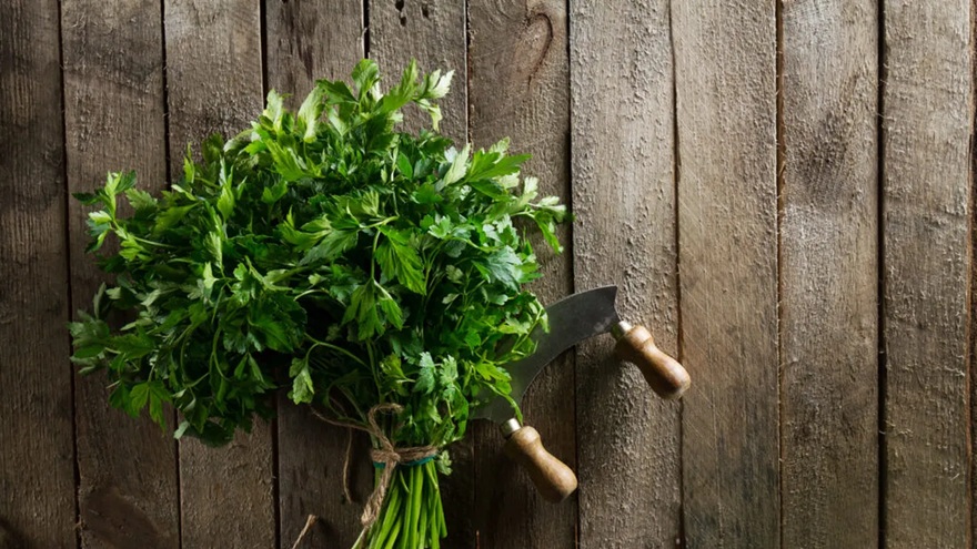 Ce este hasmațuchi și cum poate fi folosit în bucătărie / Vlad Logigan (actor): „Am venit în Obor pentru hațmațuchi. Nu are nimeni, toți se uită mirați când întreb. De parcă întreb de codul lui da Vinci”