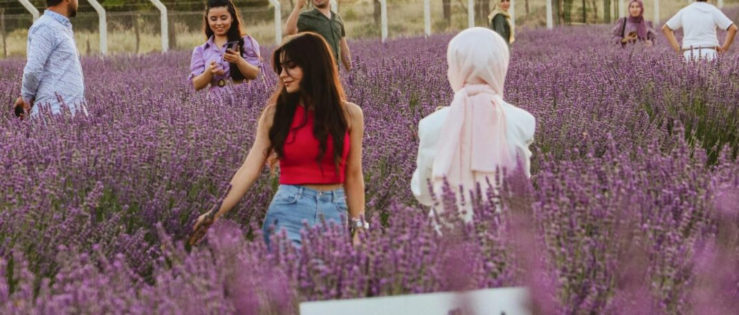 Cele mai frumoase destinații de turism floral de vizitat în 2026