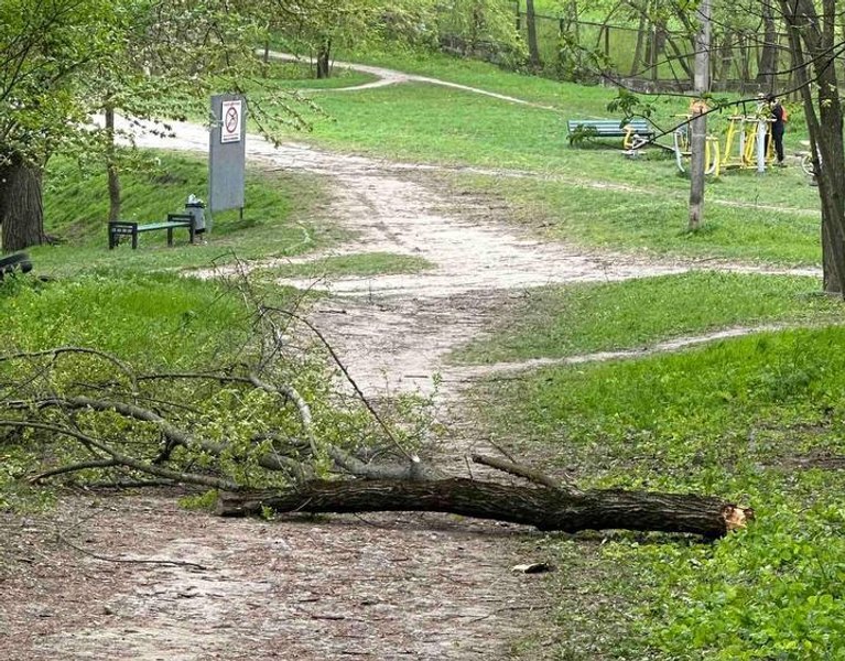 Chișinăul, lovit de vânt puternic: un om a murit, iar cel puțin patru persoane au ajuns la spital