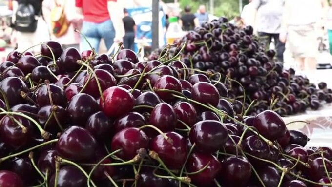 Cireșele se vând cu 180 de lei kilogramul într-o piață din Sibiu / Cât costă kilogramul de căpșuni în Iași