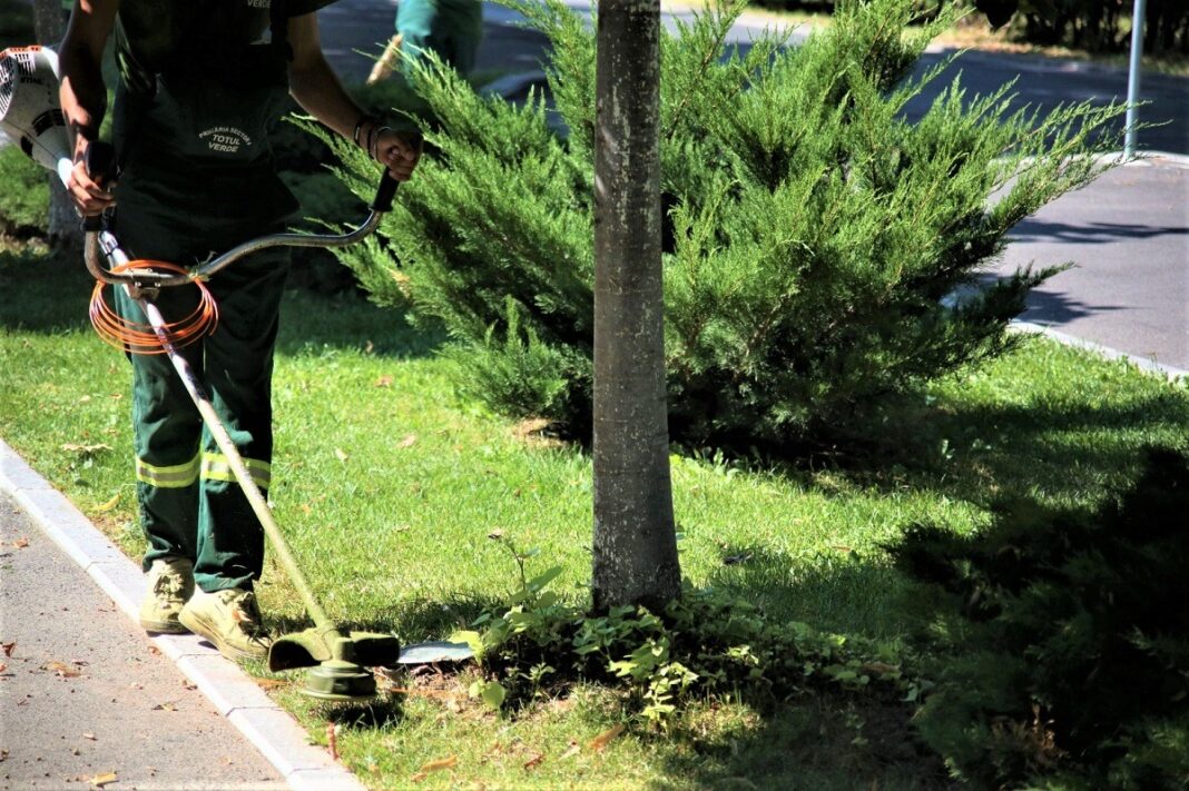 Comasarea parcurilor cu cimitirele din București, atacată în instanță / Lipsa dezbaterii publice, unul dintre motivele invocate de către salariați