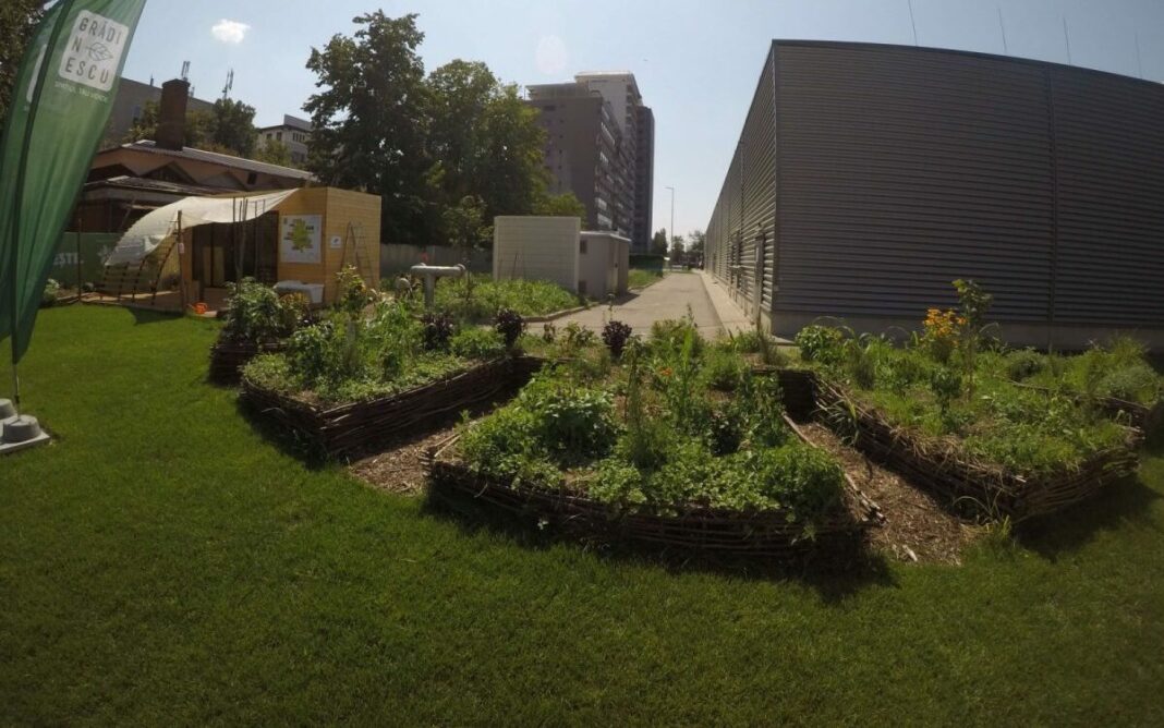 Contract semnat de peste 64 de milioane de lei pentru realizarea grădinii urbane „Nufărul” din Oradea