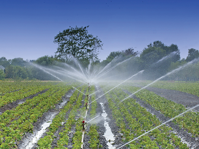 Cum se divizează businessul Moldova Farming: trei companii îşi vor împărţi businessul de peste 340 mil. lei anual. Moldova Farming era prezentă în 2024 în topul celor mai mari companii din agricultură