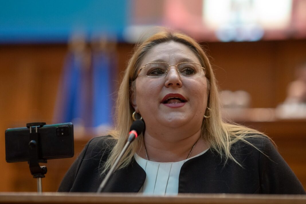 Diana Șoșoacă anunță că formațiunea pe care o conduce depune moțiune de cenzură împotriva Guvernului / SOS România nu are numărul de semnături necesar pentru o moțiune de cenzură