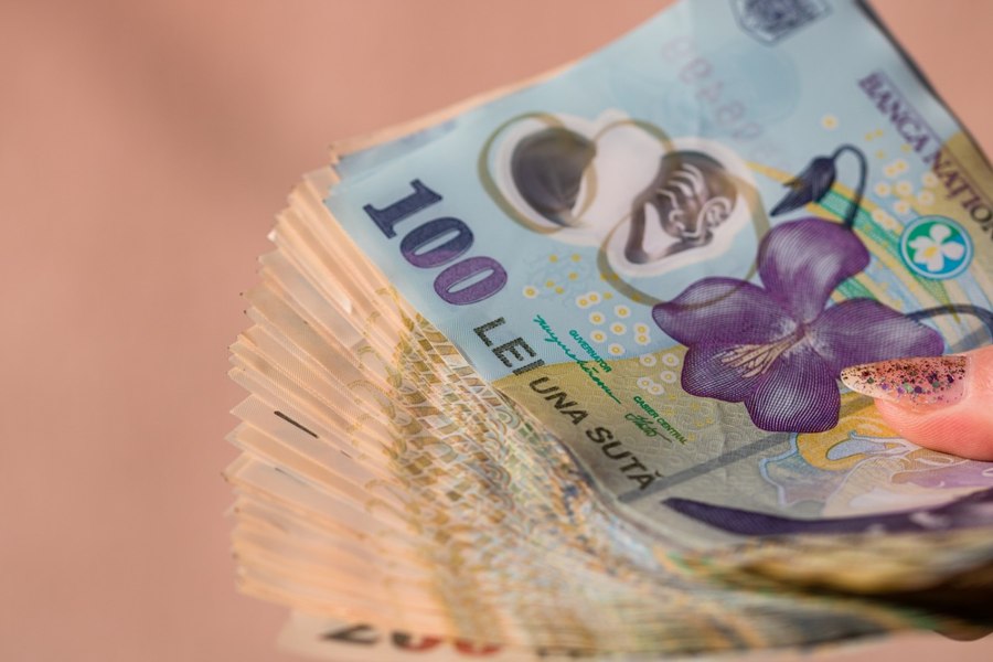 Evaziune de peste 3 milioane de lei: șase administratori, acuzați că au păcălit statul folosindu-se de firme fantomă. Case, apartamente și terenuri puse sub sechestru
