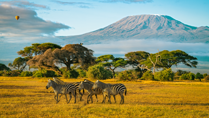 Fără selfie-uri, fără telefoane: de ce destinaţiile pentru viaţă sălbatică spun „nu” turiştilor