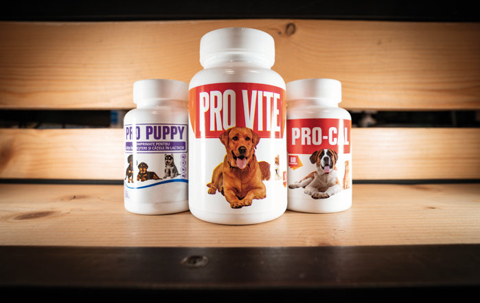 Farmavet a ajuns la 200 de farmacii sub brandul Veterra şi controlează 10% din totalul farmaciilor veterinare din România. Acum, grupul anunţă accelerarea expansiunii