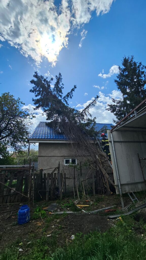 Haos în Neamț după furtună: mii de oameni fără electricitate, stâlpi prăbușiți și trafic blocat