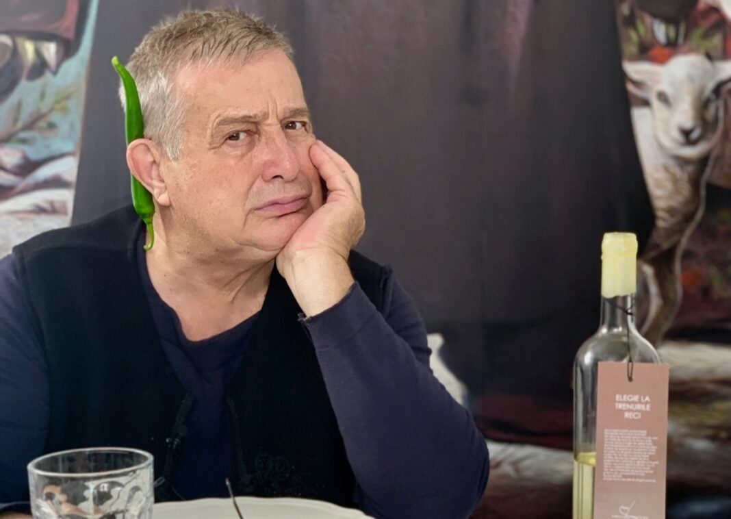 Incendiu suspect la proprietatea lui Mircea Dinescu