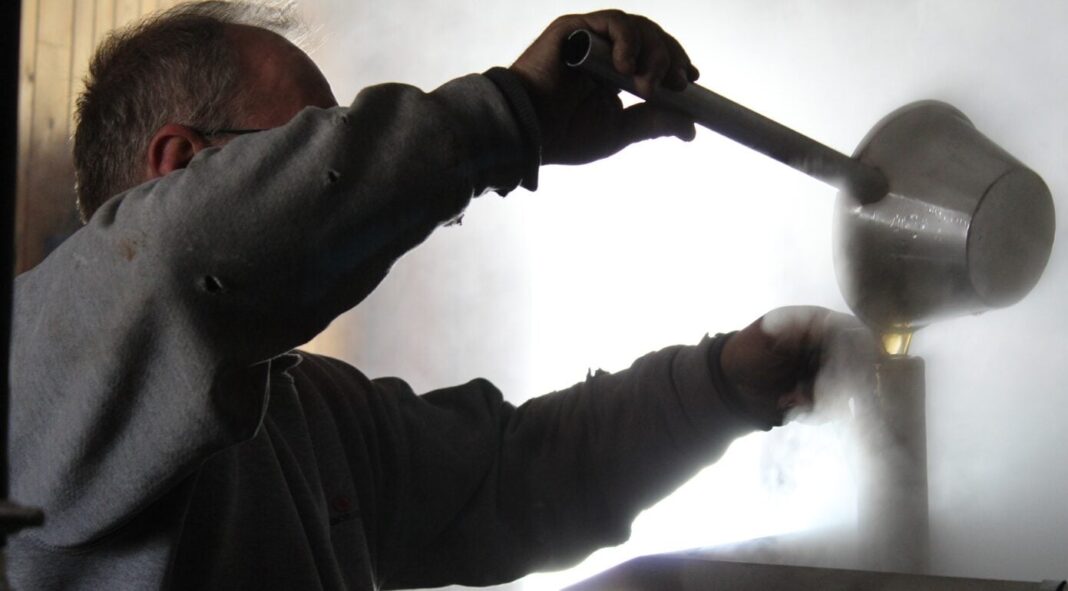 Îndulcitorii fără calorii, sub semnul întrebării: un nou studiu indică efecte asupra microbiomului și metabolismului