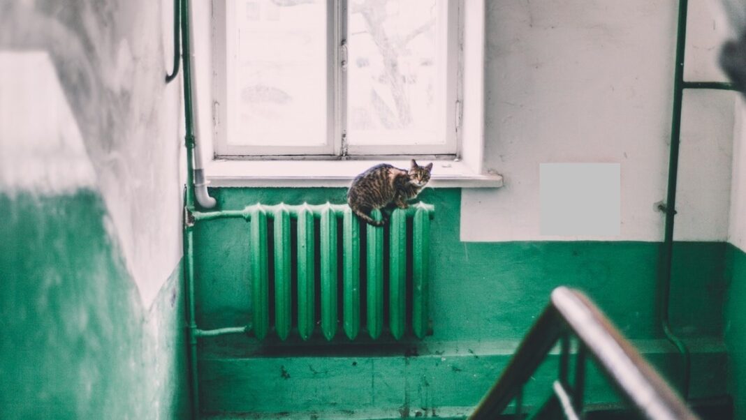 La Oradea se analizează repornirea încălzirii centralizate din cauza temperaturilor scăzute / Tempera scade aici, pe timpul nopții, până la 2 grade Celsius