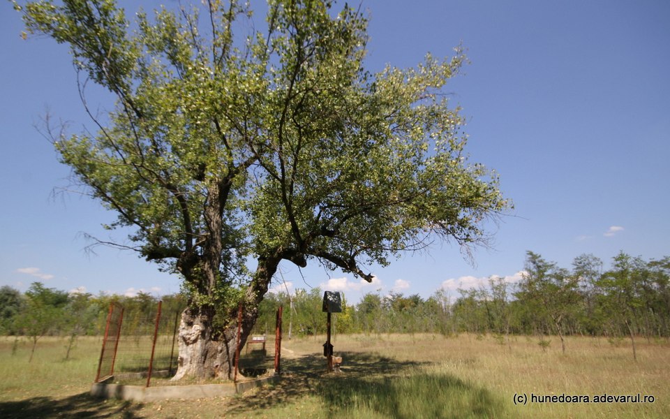 Locurile uitate unde românii căutau miracole. Atrăgeau mii de oameni în trecut, datorită unor întâmplări stranii