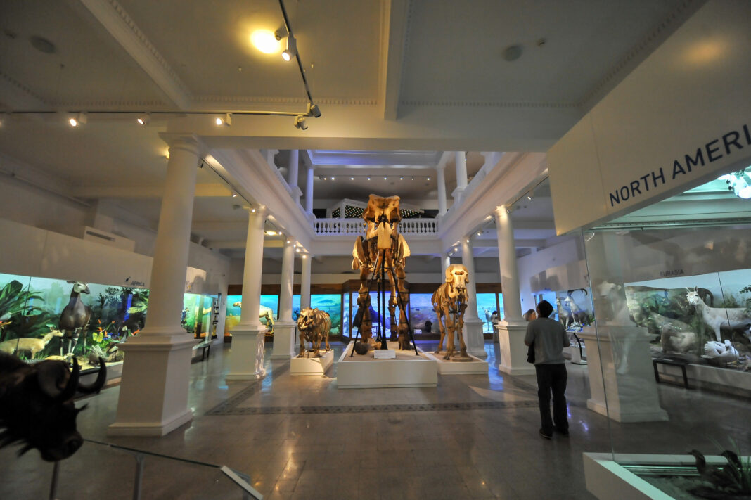 Muzeul Antipa și Muzeul Țăranului Român, deschise de Paște / Programul complet al principalelor muzee din Capitală