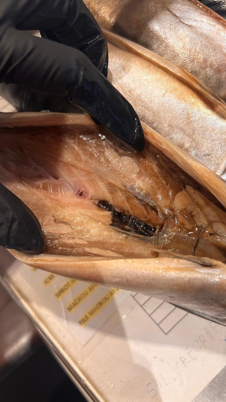 NEWS.ro: Amenzi de milioane de lei, date de comisarii de la Protecţia Consumatorilor, în urma unor controale care au vizat în special comerţul cu peşte - FOTO