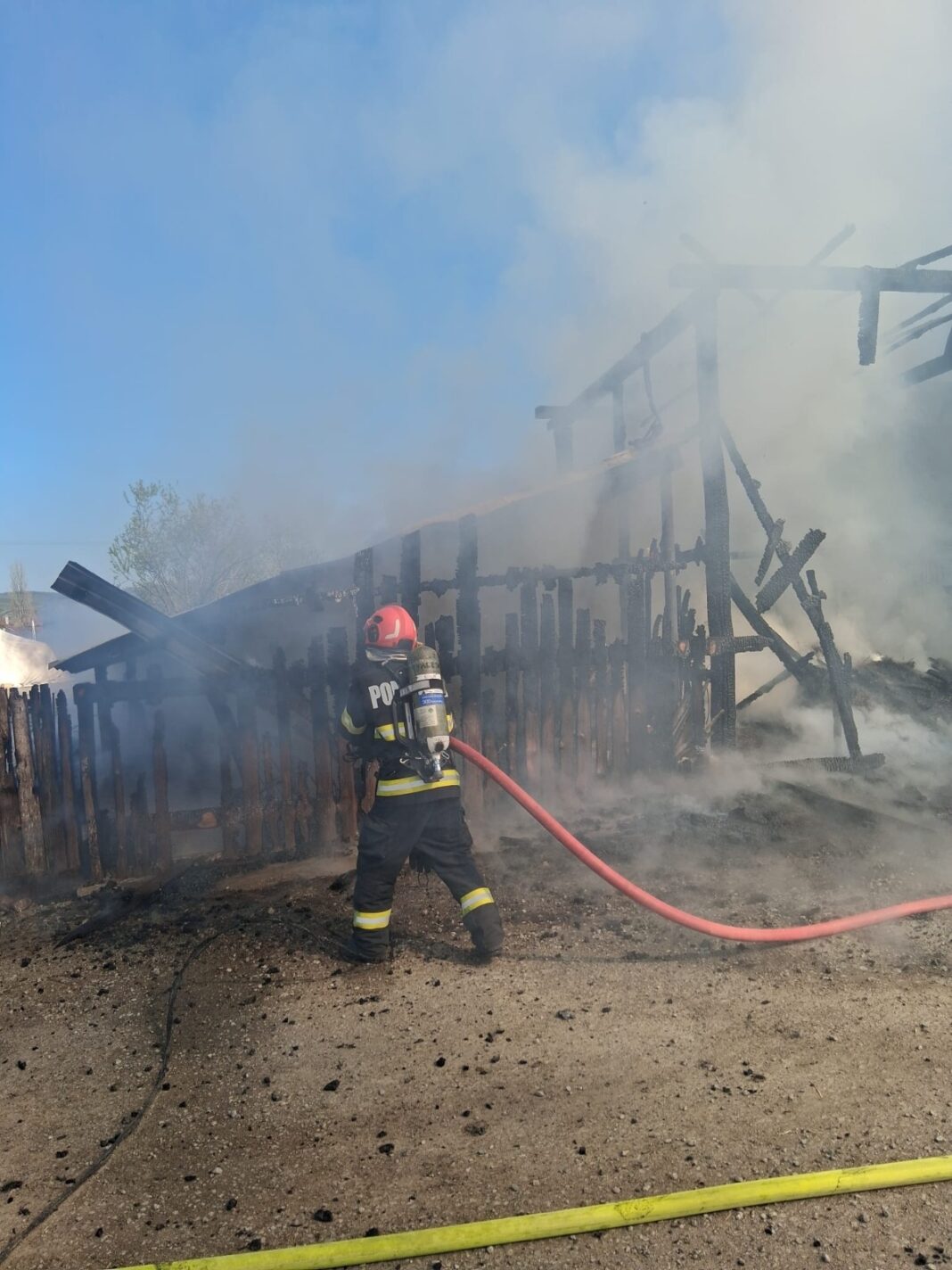 NEWS.ro: Bihor: Incendiu la un saivan în care se aflau 15 iezi. Animalele nu au putut fi salvate