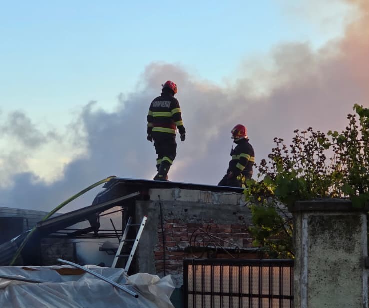 NEWS.ro: Bihor: Intervenţie de şase ore a pompierilor pentru stingerea unui incendiu izbucnit într-o gospodărie, la un adăpost de animale şi o anexă. Un depozit, o locuinţă şi zece animale au fost salvate - FOTO