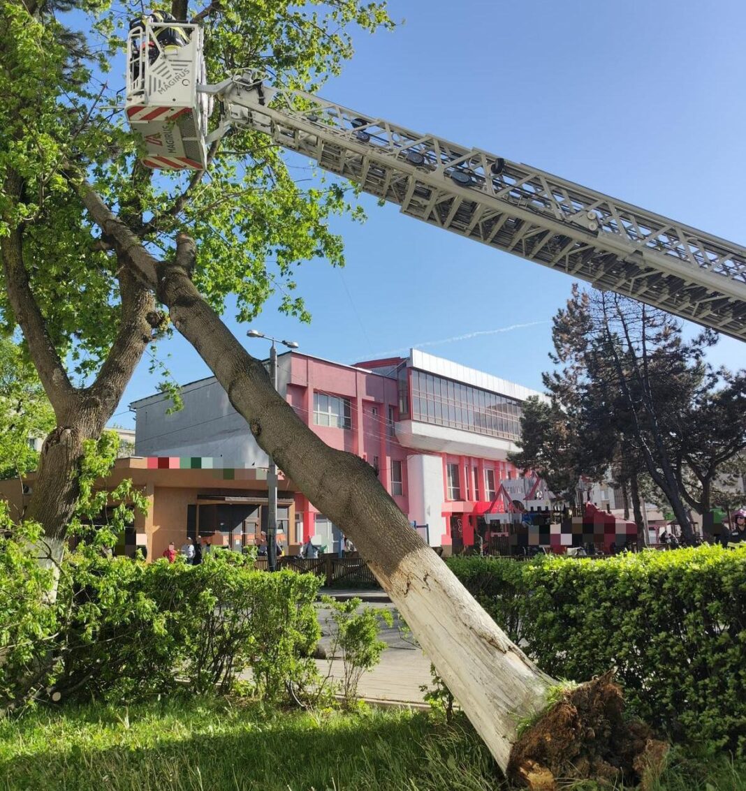 NEWS.ro: Efectele vijeliilor din ultimele 24 de ore: Un mort, trei răniţi, aproape 100 de imobile afectate, peste 35.000 de consumatori fără energie electrică/ Pompierii au intervenit în 72 de localităţi/ Cele mai afectate judeţe, Iaşi, Neamţ, Suceava şi Vaslui