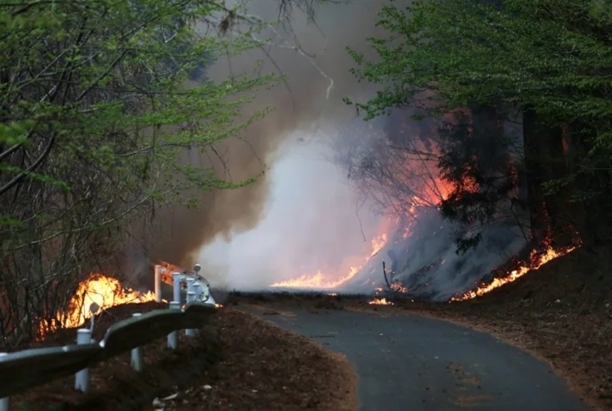 NEWS.ro: Evacuări în nordul Japoniei, din calea unor incendii de pădure care se apropiau de un orăşel