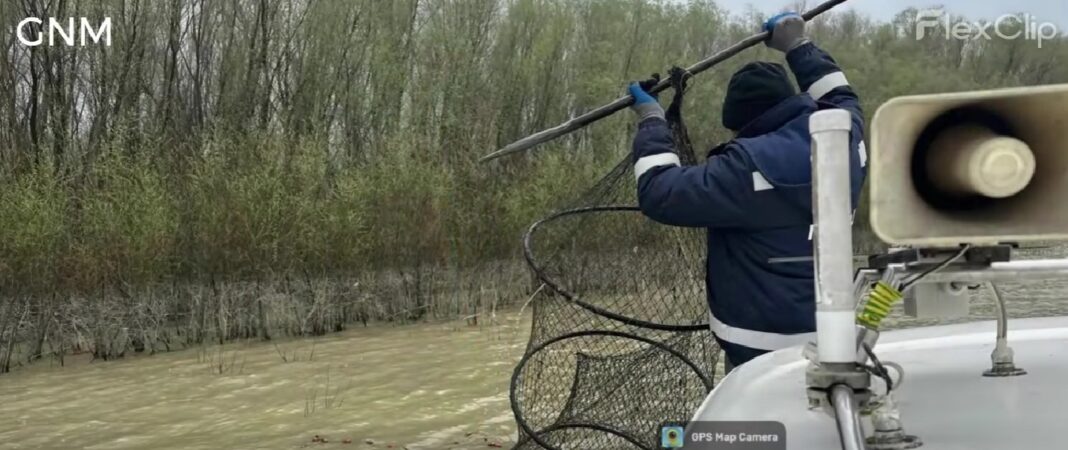 NEWS.ro: Garda de Mediu: Am scos peste 6 kilometri de plase ilegale din ape în ultimele două săptămâni/ Sute de kilograme de peşte transportat ilegal, fără niciun document de provenienţă