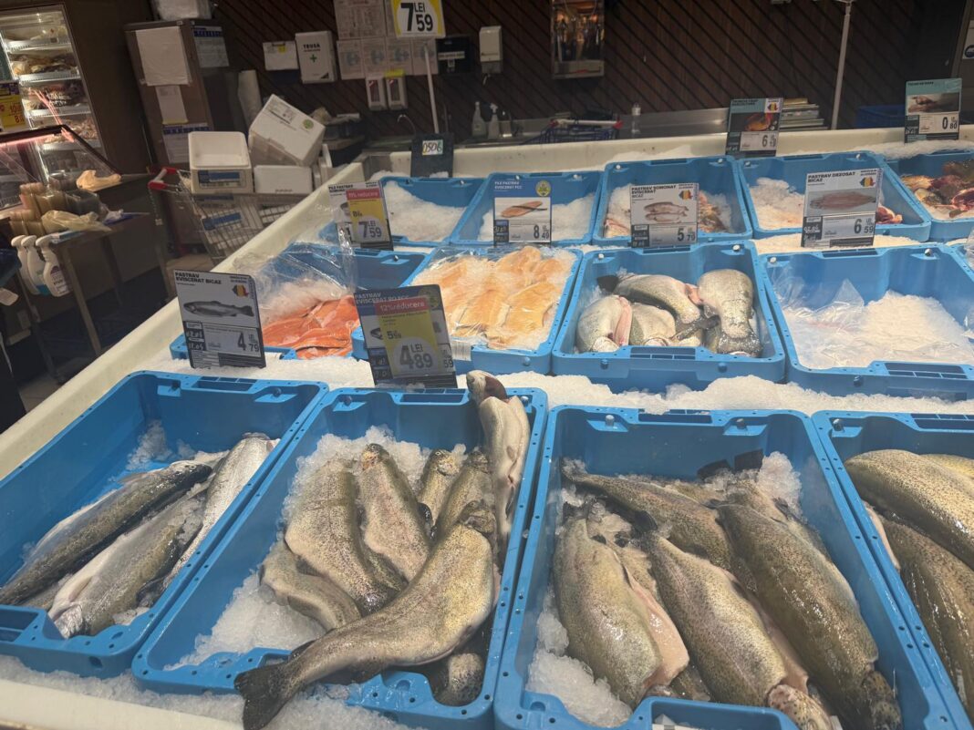 NEWS.ro: Garda Naţională de Mediu: Traseul peştelui, monitorizat de la sursă până pe masa românilor / Amplă operaţiune de control la nivel naţional / Amenzi în valoare de 361.700 lei