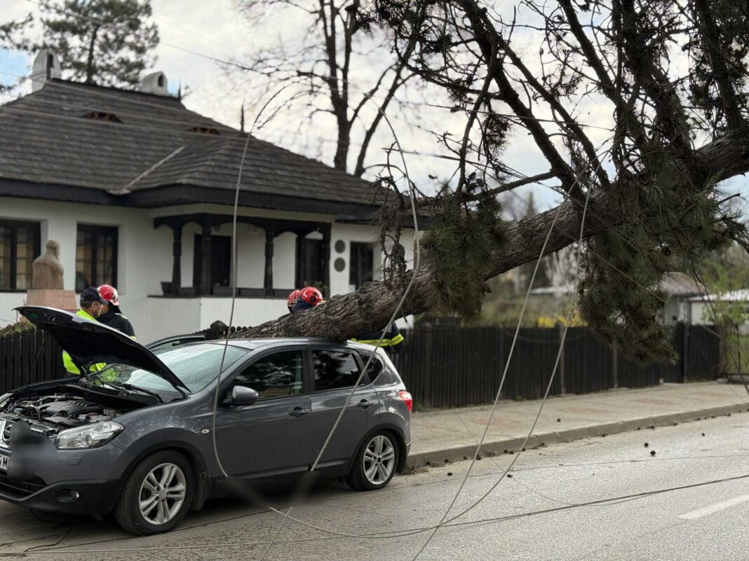 NEWS.ro: Intervenţie a pompierilor în Botoşani, după ce un copac şi doi stâlpi de electricitate au căzut peste o maşină şi au blocat o stradă/ Meteorologii au emis cod portocaliu de vânt pentru o parte de judeţului, până la ora 18.00