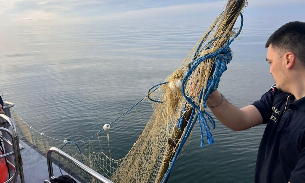NEWS.ro: Poliţiştii de frontieră au salvat cinci sturioni prinşi în plase ilegale, în Marea Neagră