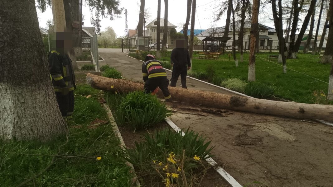 NEWS.ro: Suceava: Peste 20 de intervenţii la situaţii de urgenţă provocate de vântul puternic, în mai puţin de cinci ore. Mii de gospodării, fără energie electrică
