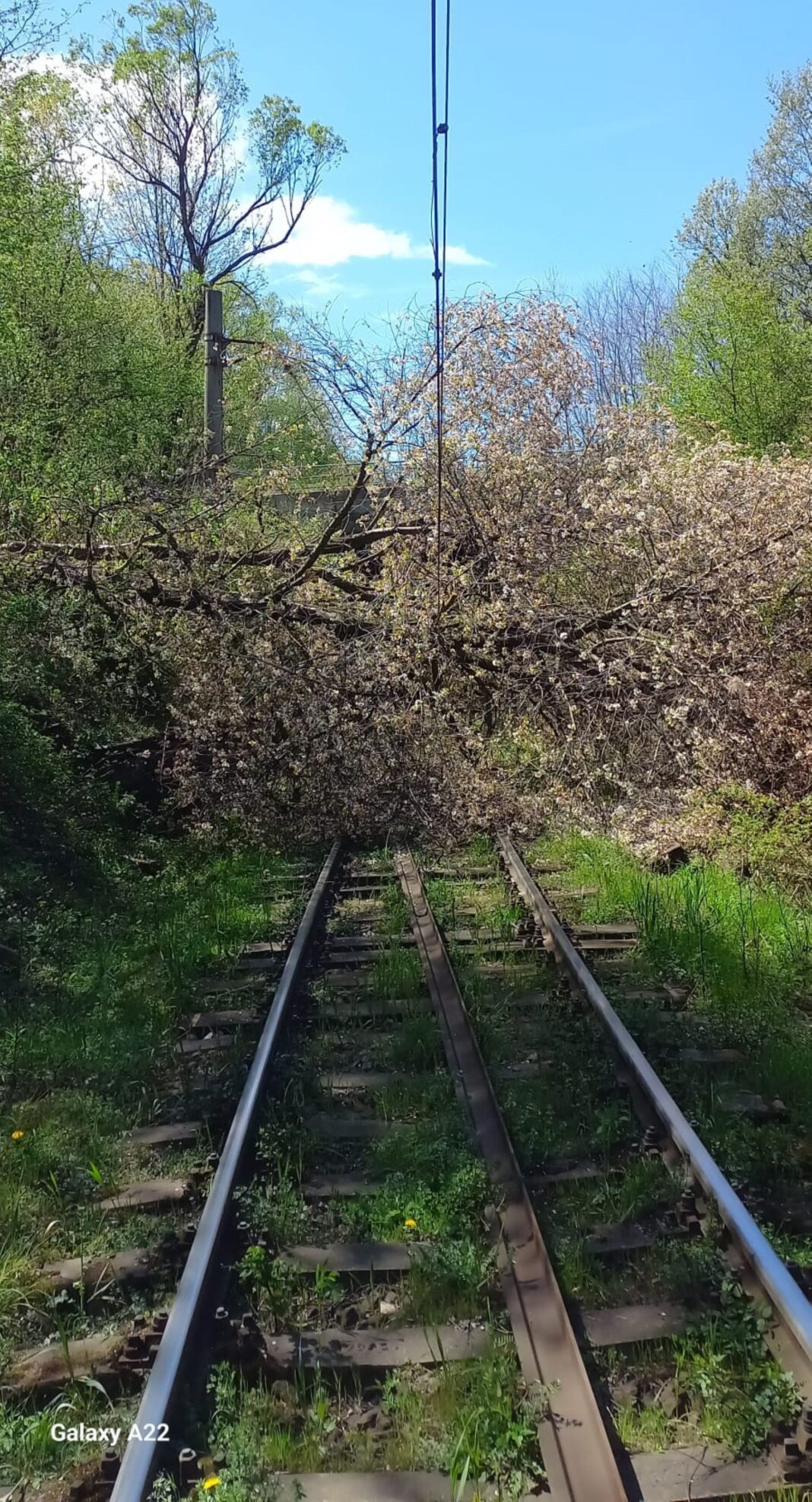 NEWS.ro: Trafic feroviar oprit temporar între staţiile Merişor şi Crivadia şi Topliţa - Răstoliţa, in judeţul Timiş, din cauza copacilor căzuţi pe linia ferată