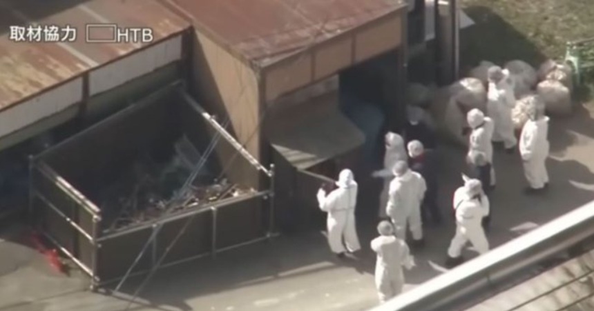 NEWS.ro: Un angajat al unei grădini zoologice din Japonia mărturiseşte că şi-a ucis soţia şi i-a ars cadavrul în incineratorul grădinii ”timp de câteva ore”