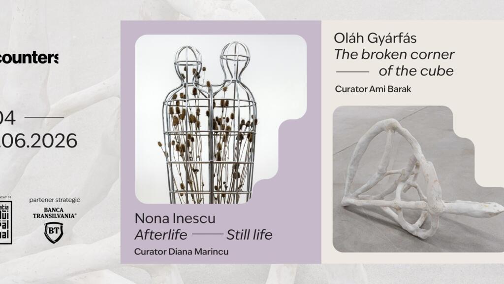 Nona Inescu la Art Encounters