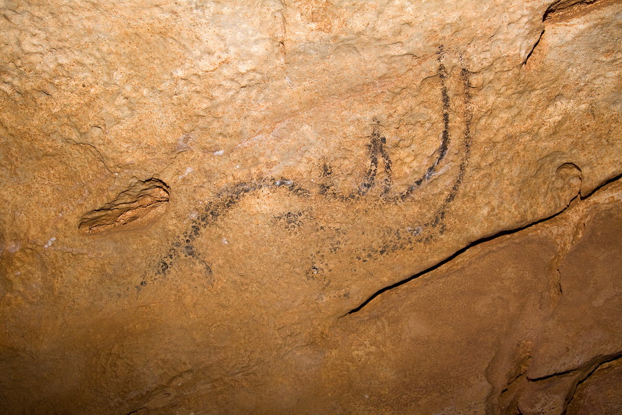 O peșteră din Bihor, nominalizată să devină patrimoniu protejat de UNESCO / În Coliboaia s-au găsit printre cele mai vechi picturi rupestre din Europa