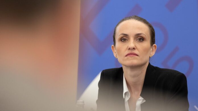 Oana Țoiu și Irineu Darău lansează „România Industry Day” la Bruxelles