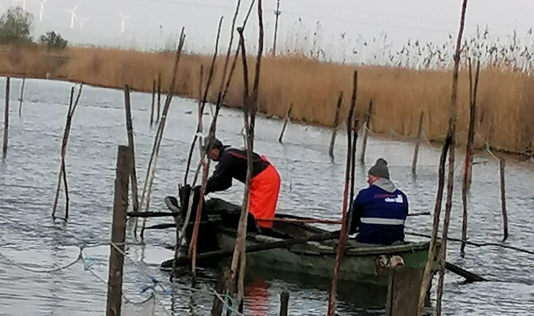 Peste 9,5 tone de unelte de pescuit ilegale, confiscate și distruse în Deltă, într-un an / Peste 3.800 de setci și aproape 800 de capcane pentru raci