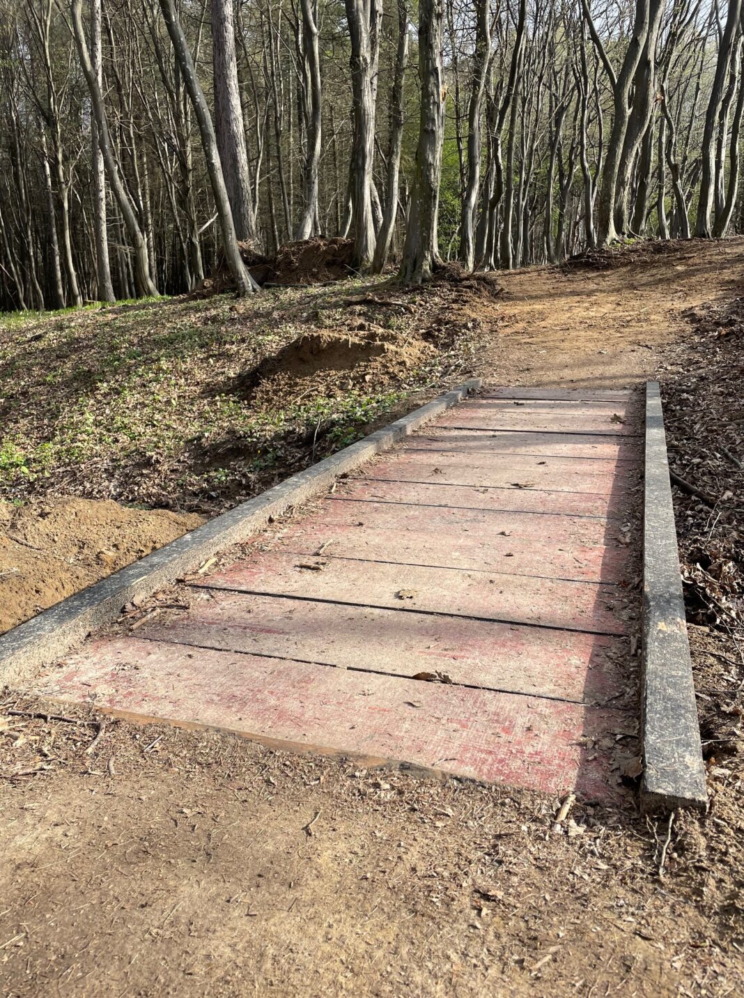 Premieră la Cluj: traseu turistic adaptat persoanelor cu dizabilități, inaugurat în Pădurea Făget / ”Ne dorim ca natura să fie accesibilă fiecăruia”