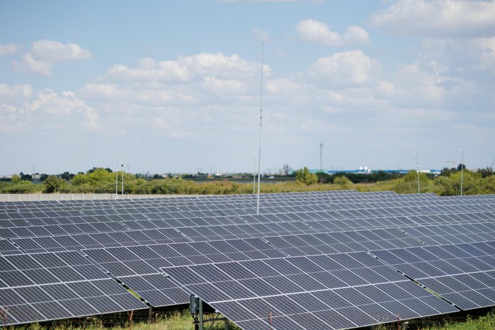 Primăria Timişoara investeşte peste 32 mil. lei într-un parc fotovoltaic de 8 GWh