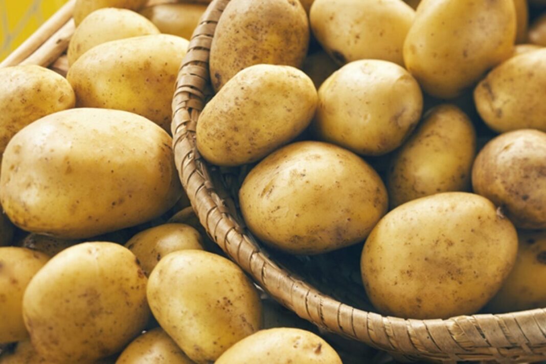 Primăriile din Vrancea oferă gratuit cartofi familiilor vulnerabile / Donații din partea fermierilor / ”Vă rugăm să veniți cu saci sau recipiente, deoarece nu dispunem de ambalaje”